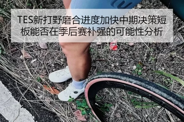 TES新打野磨合进度加快中期决策短板能否在季后赛补强的可能性分析
